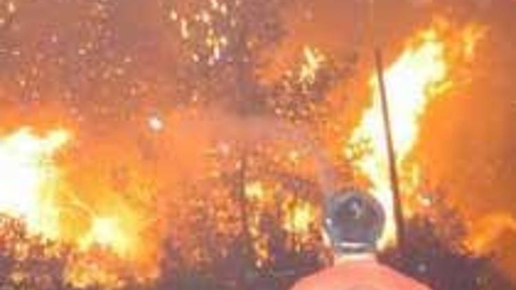 Bodrum'daki orman yangını kontrol altına alınamıyor