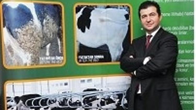 İneklere özel yatak yaptı, ‘Süt üretimi artacak’ mesajı verdi Son