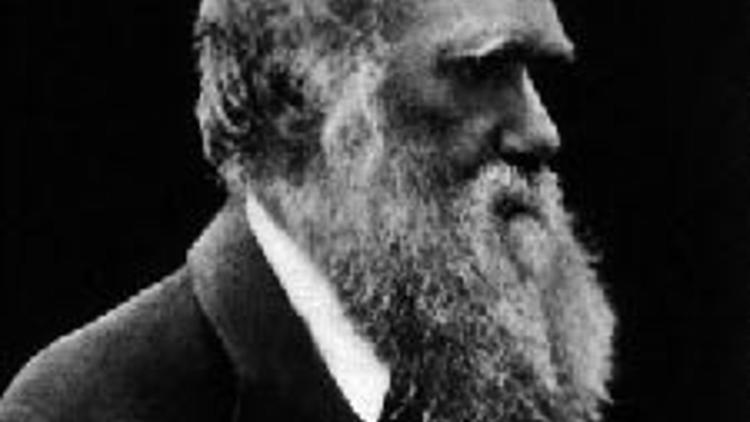 Kim korkar Darwin'den