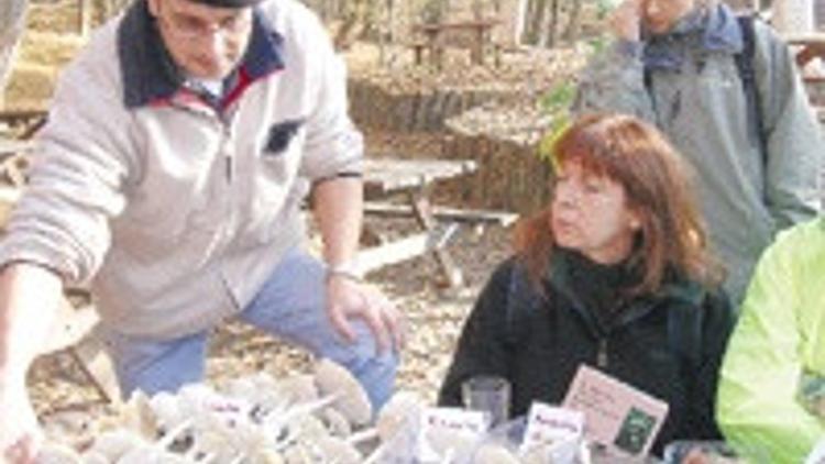 Mikolog Jilber Barutiyan'la tanışın