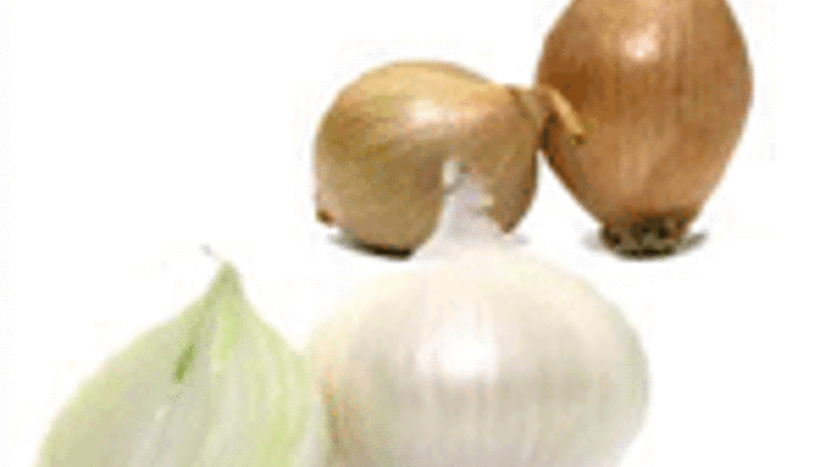 Kansere karşı soğan
