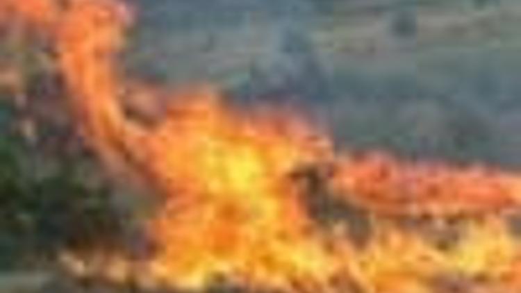 Two killed in forest fire in southern Turkey