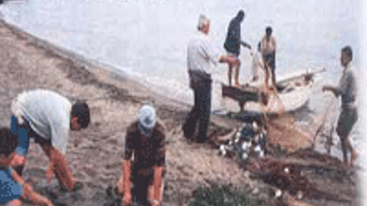 Zonguldak'ta balıkçılara para cezası