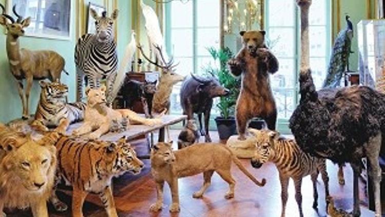 Sıradışı Paris mağazaları