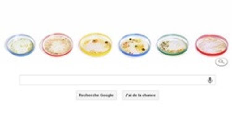 Google'ın bugünkü Doodle'ı Julius Richard Petri için