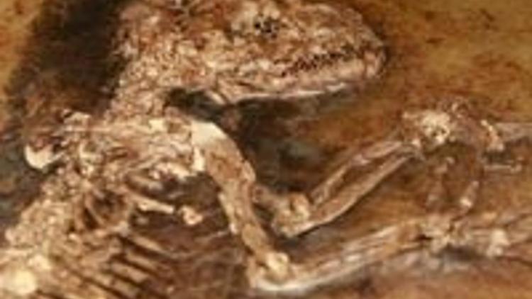 İnsanlığın sırrı bu fotoğrafta