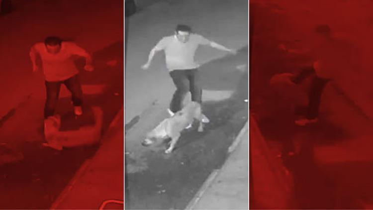 Köpeği tekmeledi sonra boğarak öldürdü