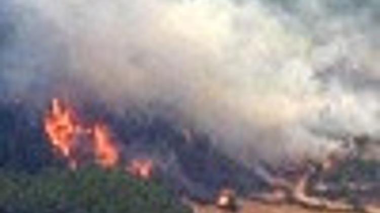 Turkey's biggest-ever forest fire under control in its sixth day