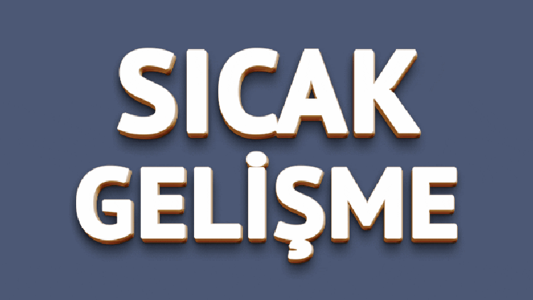 Yırca'da yangın... Zeytin fidanları kül oldu