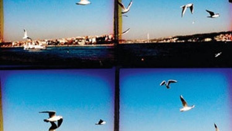 İki kirpiğin arasından: K-O-Ç-O