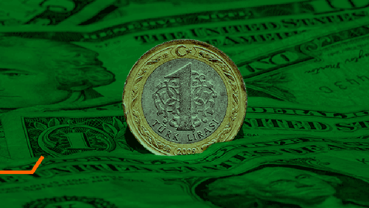 Dolar yeniden 3 lira sınırında /(Dolar ne kadar oldu?)