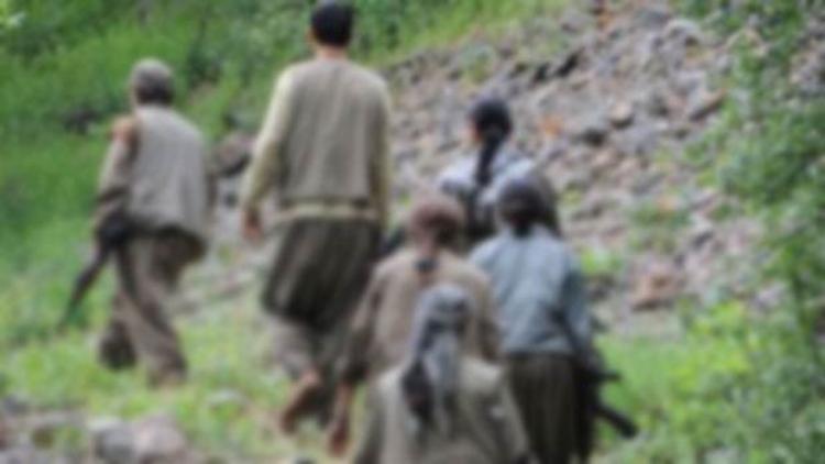 4 ilde devam eden operasyonlarda 221 PKK’lı etkisiz hale getirildi
