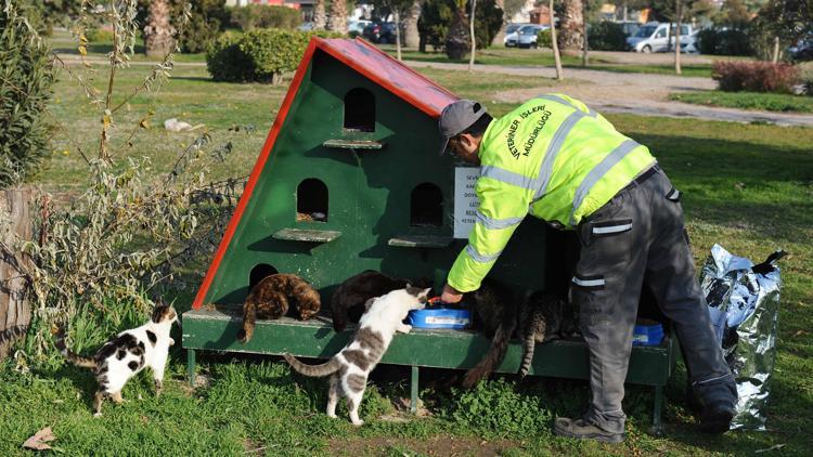 Can dostlarına yılbaşı ikramı