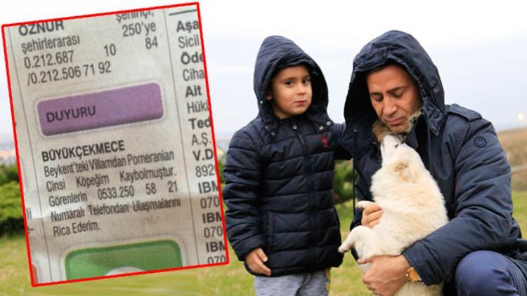 İzzet Yıldızhan’ın köpeÄŸi kayboldu