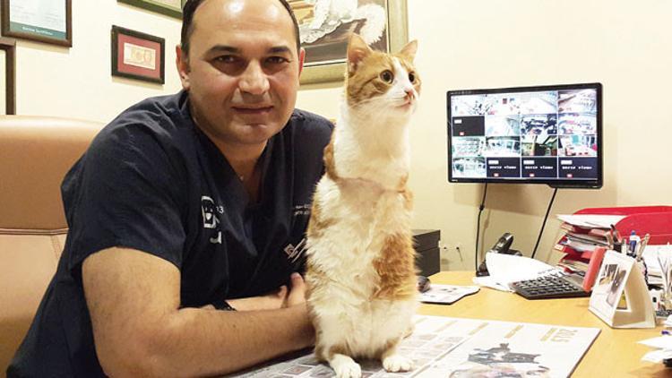 İki ayaklı internet fenomeni