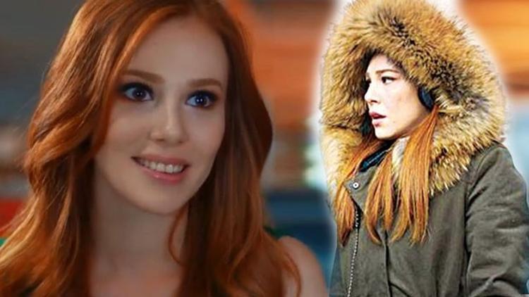 Dizi ajanı