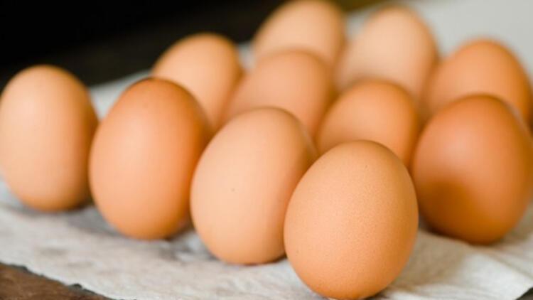 Tavuk yumurtası üretiminde azalma