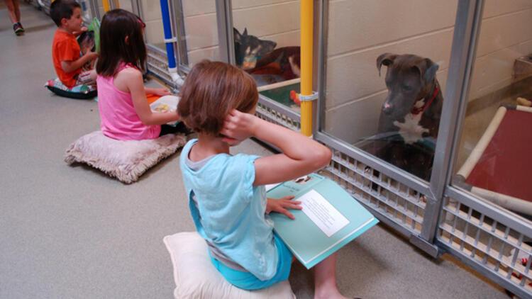 Barınaktaki köpeklerin psikolojilerini düzeltmek için onlara kitap okuyan çocuklar