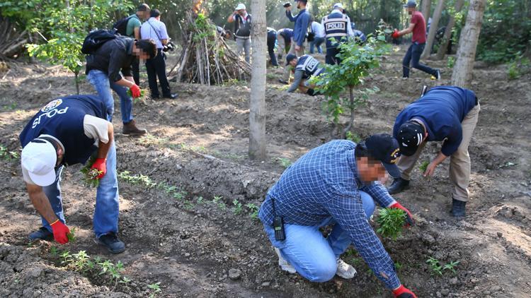 UNESCO korumasındaki Hevsel Bahçeleri'ne uyuşturucu baskını