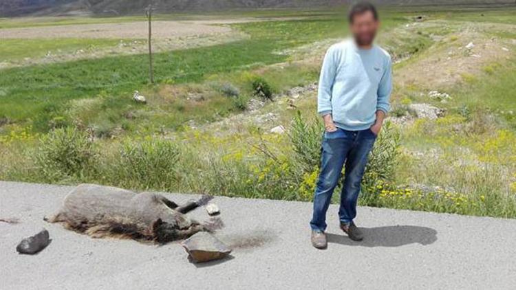 Domuzu işkenceyle öldürüp, fotoğraflarını paylaştılar