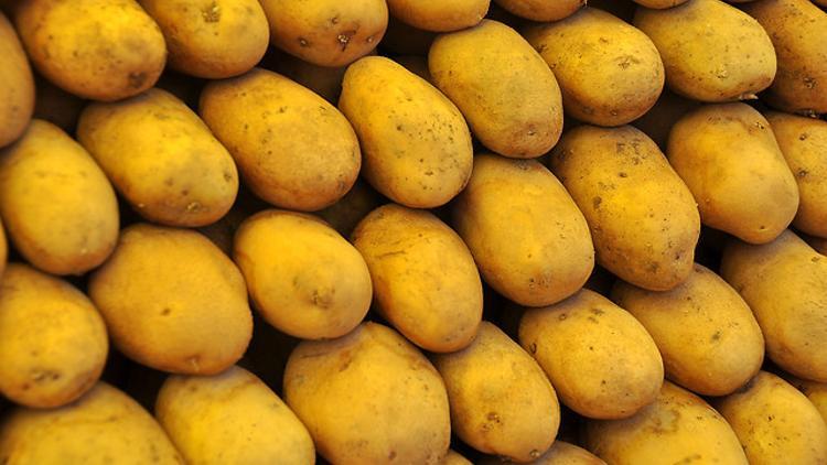 İlk olarak 1000 ton patates gitti