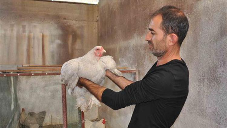 Hobi Olarak Basladi Tanesini 2 Bin Tl Den Satiyor Son Dakika Haberler Hobi Olarak Basladi Tanesini 2 Bin Tl Den Satiyor Son Dakika Haberler