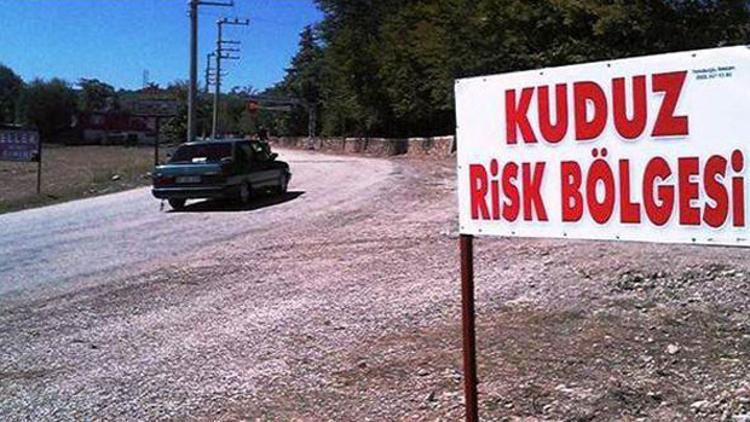 Son dakika haberi.. Kuduz kurban ilde panik yarattı: 104 kişi hastanede