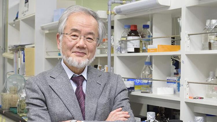 Nobel Tıp Ödülünü Japon Ohsumi kazandı