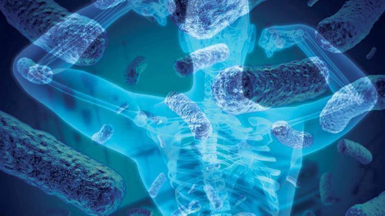 Müjde! Nur topu gibi bir organımız oldu: Mikrobiyom