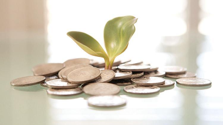 100 milyar dolarlık ‘yeşil tahvil’ fırsatı