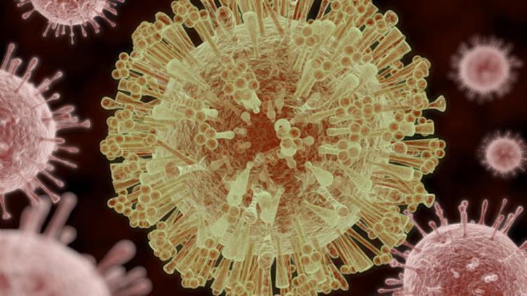 Zika virüsü nedir?