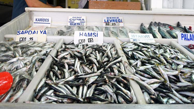 Karadeniz'de palamut arttı, hamsi azaldı