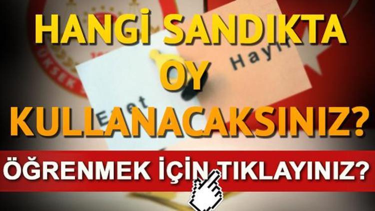 YSK seçim sandık sorgulama işlemi nereden yapılır? 'Nerede oy kullanacağım?' konusunun detayları