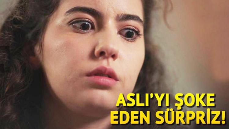 Bodrum Masalı son bölümün ardından yeni bölüm fragmanı ekranlara geldi