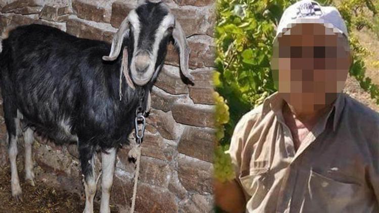 Köyü karıştıran korkunç iddia! Keçiye tecavüz edip kaçtı