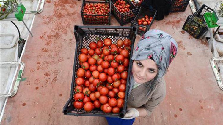 Son dakika... Türkiye'den ne zaman domates alacaklarını açıkladılar...