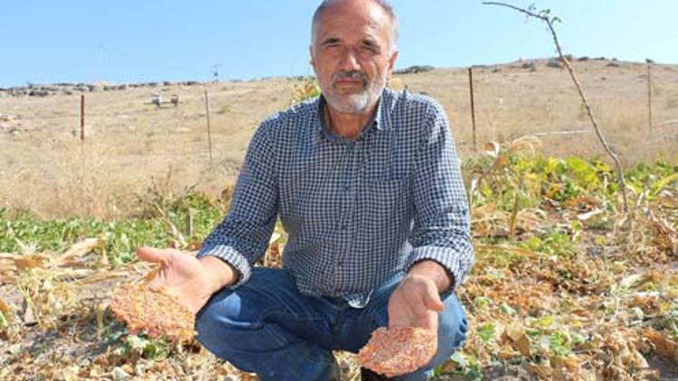3 bin 500 yıllık vadide gördüklerine inanamadılar! Daha önceden hiç görülmeyeni ürettiler...