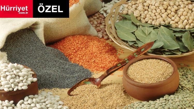 Bize neler yedirdiniz!