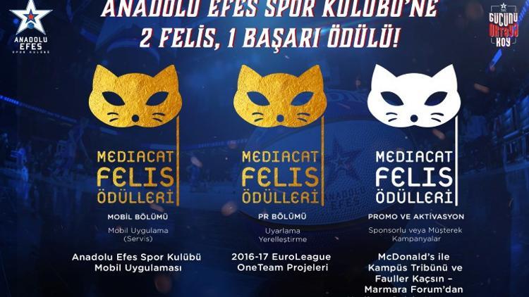 Anadolu Efes'e 3 ödül birden