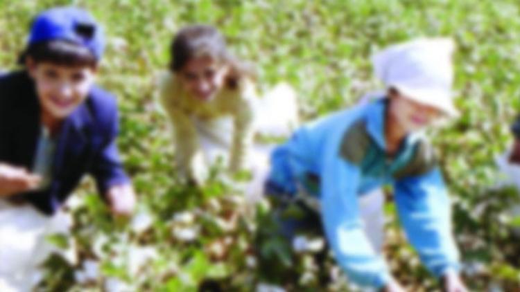 11 veride dünya çocuklarının durumu: 270 milyon eğitim alamıyor, 150 milyonu çalışıyor