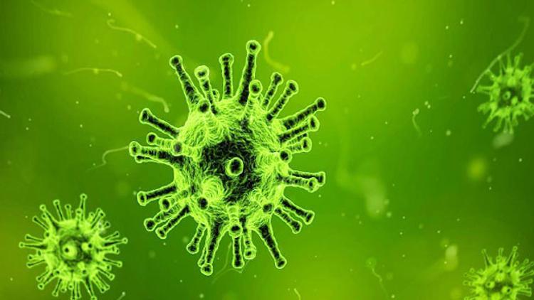 Zika virüsü nedir?