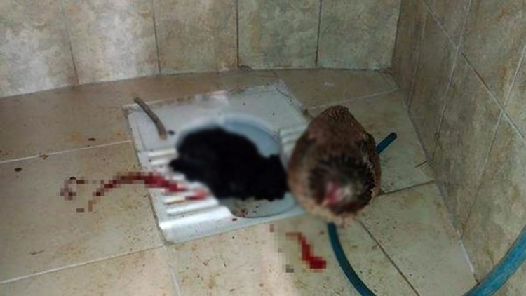 Mezarlık tuvaletinde korkunç olay! İçeri girdiğinde şoke oldu!