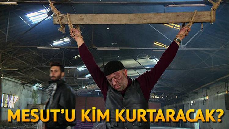 Arka Sokaklar son bölümü ile heyecanı doruklara taşıdı! İşte yeni bölüm fragmanı