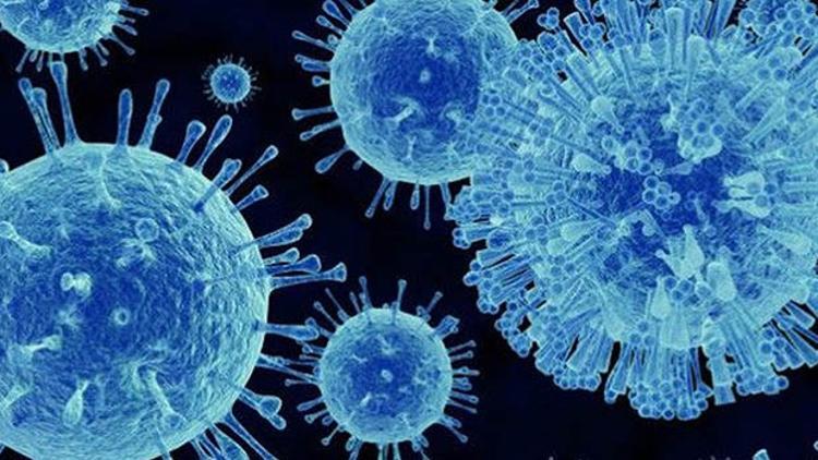 Nörovirüs alarmı: Sayı artıyor, 47 kişi karantinada