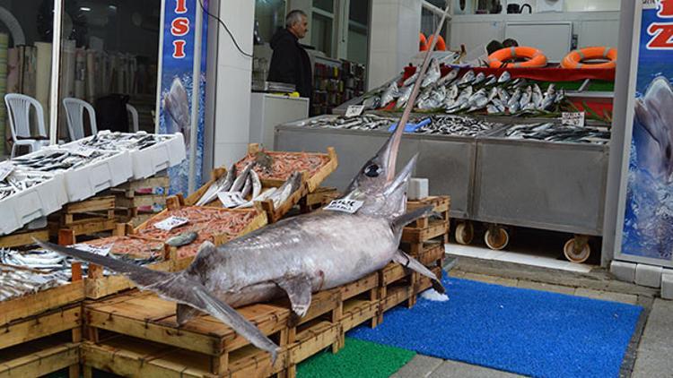 Balıkçıya kılıç piyangosu... Tam 2,5 metre uzunluÄŸunda ve 7 bin lira