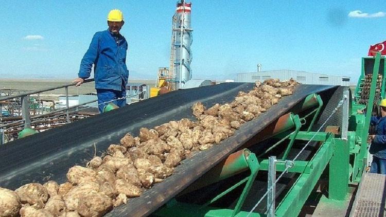 Hükümetten son dakika şeker hamlesi