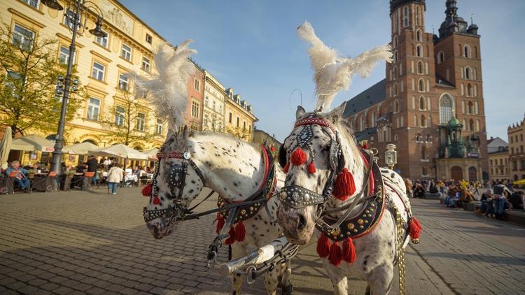 Krakow’a dönüş