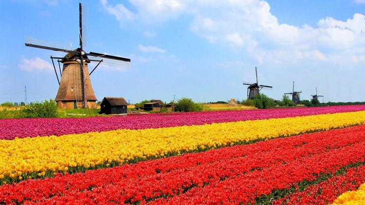 Hollanda’da bahar rotası