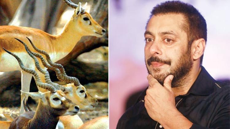 Bollywood ‘avcısına’ hapis cezası