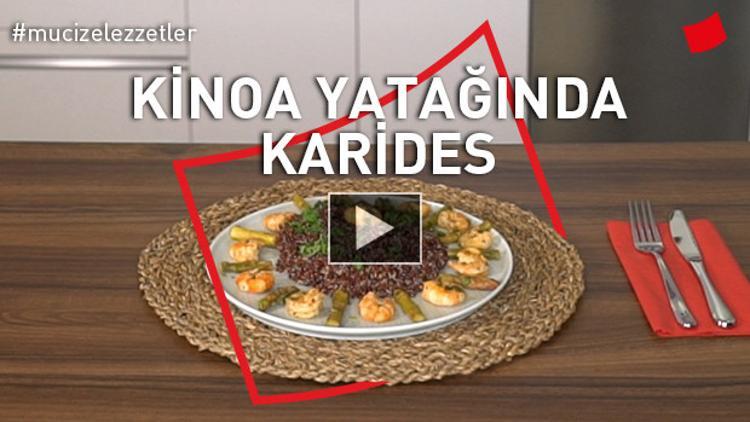 Kinoa Yatağında Karides